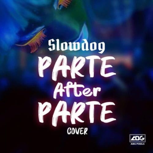 Slowdog ”“ Parte After Partee (Cover)