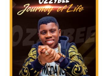 OzzyBee's Journey of Life