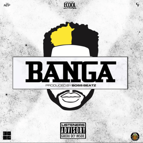 DJ ECool ”“ Banga