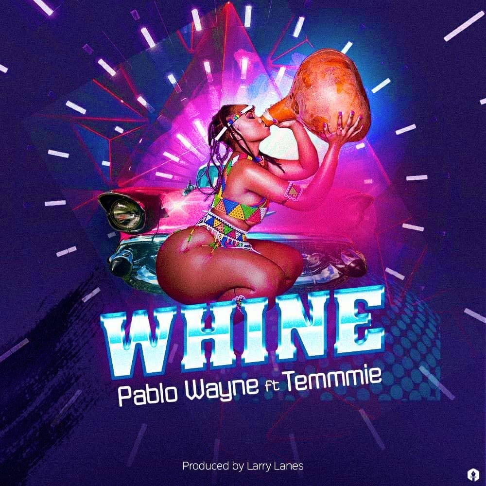 Pablo Wayne Whine Temmie Stunner