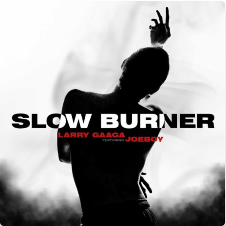 Larry Gaaga Joeboy Slow Burner