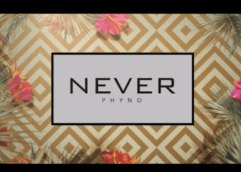 Phyno Never Lyrics