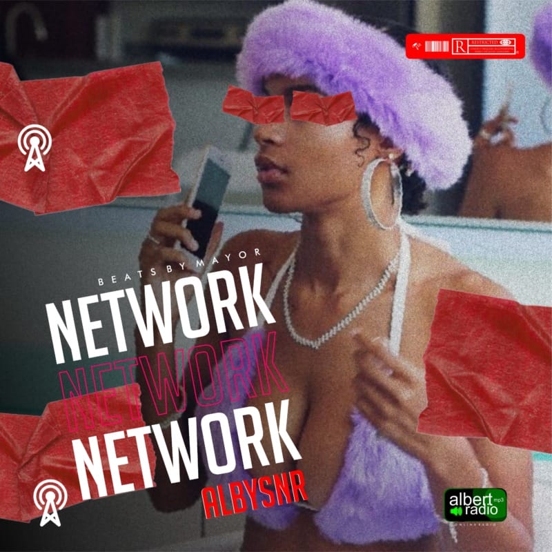 Albysnr Network