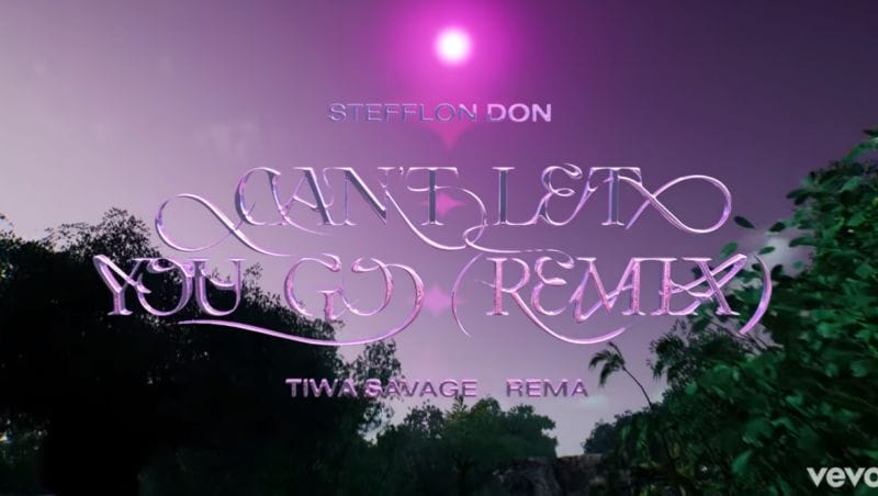 Stefflon Don Can't Let You Go Remix