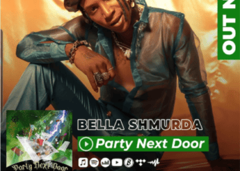 Bella Shmurda, Party Next Door Lyrics
