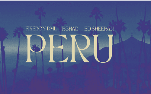 Fireboy Peru R3hab Remix