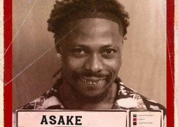 Asake Mr Money With The Vibe Album