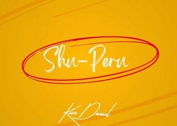 Kizz Daniel Shu-Peru Lyrics
