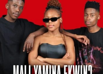Mulest Vankay & Mellow & Sleazy – Mali Yamina Ekwin ft. Khensani & Bongs Nwana Mhan