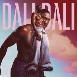 Daliwonga ”“ Seduce Me ft. Nkosazana Daughter