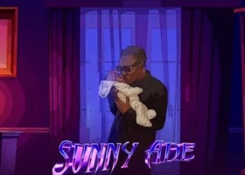 Zinoleesky - Sunny Ade