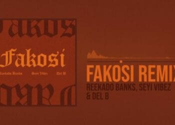 Reekado Banks x Seyi Vibez - Fakosi Remix
